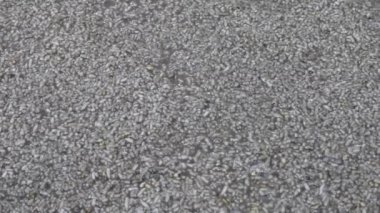 Okinawa, Japonya-Haziran 2, 2019: bir alkollü içecek fermantasyon süreci, Awayori, Tay pirinç ve su yapılmış