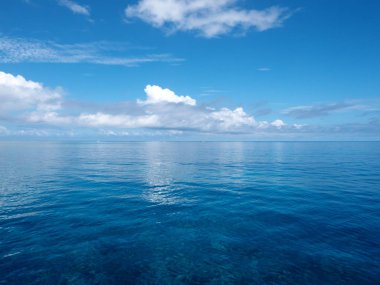Okinawa, Japonya-Mayıs 31, 2019: Coral Reef mavi deniz, Iriomote Adası 'nın kuzeyinde, Okinawa