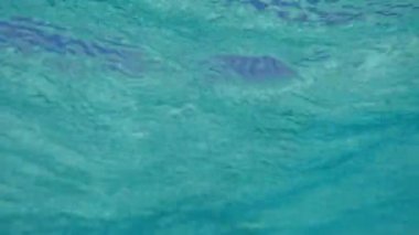 Ikema adası, Japonya - 28 Haziran 2019: Yabiji veya Yaebishi: Japonya'da Ikema adasının kuzeyinde yer alan en büyük mercan resifi