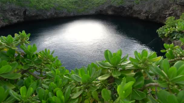 Shimoji Island Japan June 2019 Tori Pond Tori Ike Ilha — Vídeo de Stock