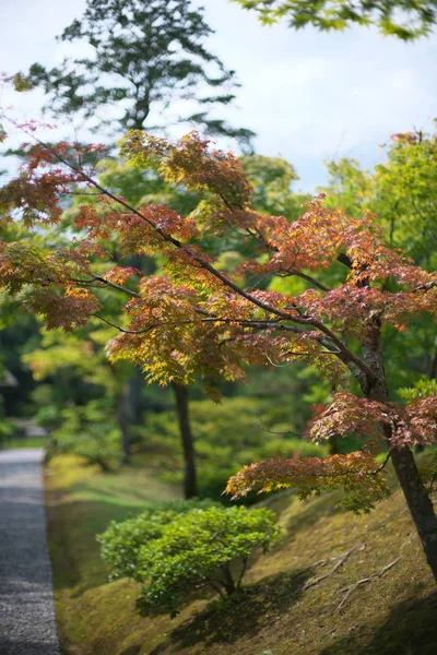 Kyoto Japón Julio 2019 Katsura Imperial Villa Kyoto Por Mañana — Foto de Stock