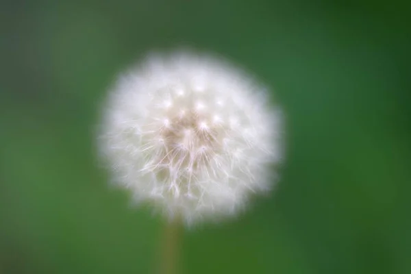 Tokyo Japon Août 2019 Boule Parachute Isolée Sur Fond Vert — Photo