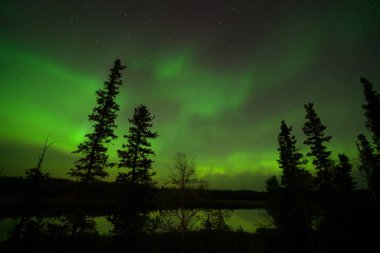 Yellowknife,Kanada-Ağustos, 2019: Aurora borealis veya Kuzey ışıkları Yellowknife gözlenen, Kanada, Ağustos, 2019