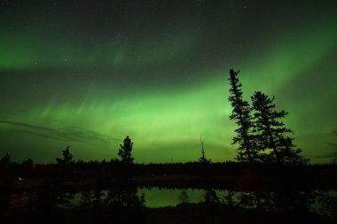 Yellowknife,Kanada-Ağustos, 2019: Aurora borealis veya Kuzey ışıkları Yellowknife gözlenen, Kanada, Ağustos, 2019