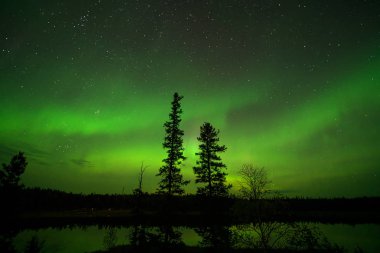 Yellowknife,Kanada-Ağustos, 2019: Aurora borealis veya Kuzey ışıkları Yellowknife gözlenen, Kanada, Ağustos, 2019