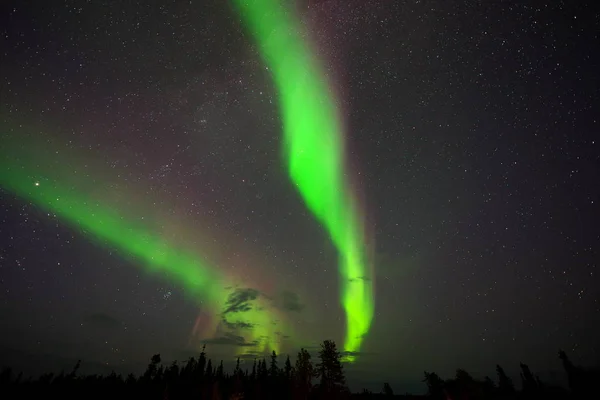 Yellowknife Canadá Agosto 2019 Aurora Boreal Luzes Norte Observadas Yellowknife — Fotografia de Stock