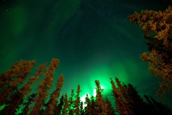 Yellowknife Kanada Augusti 2019 Aurora Borealis Eller Norrsken Observerats Yellowknife — Stockfoto