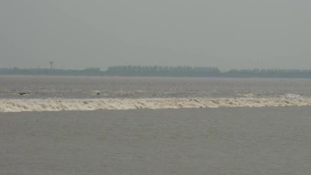 Zhejiang China September 2019 Qiantang River Tidal Bore Upstream Wave — Stock Video