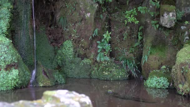 Kyoto Japan September 2019 Een Kleine Waterval Een Tempel Kyoto — Stockvideo