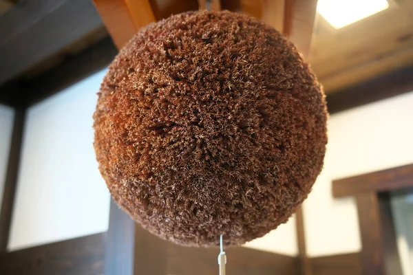 日本秋田 2019年10月4日 由日本雪松制成的球 传统上悬挂在酿酒厂的屋檐下 — 图库照片