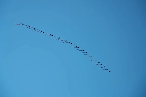 Shanghái China Septiembre 2019 Vuelo Cometas Disfrutado Waitan Bund Shanghái —  Fotos de Stock