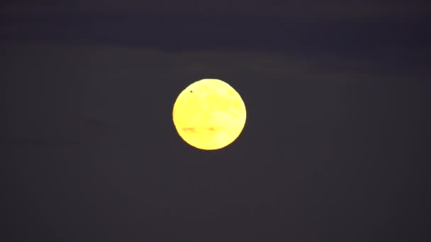 Tokyo (Japon), le 13 octobre 2019 : Un avion au départ de l'aéroport de Haneda monte devant la pleine lune 