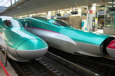 Tokyo, Japonya-4 Ekim 2019: Küçük Tohoku Shinkansen Hayabusa yağmurlu bir sabah Tokyo istasyonundan ayrılıyor.