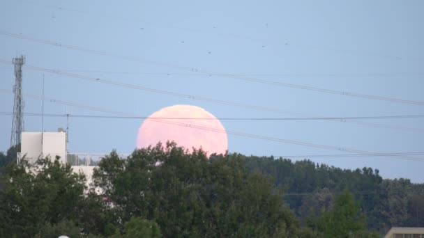 Tokyo Japon Octobre 2019 Pleine Lune Montante Observée Depuis Banlieue — Video