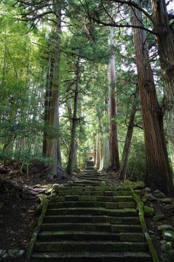 Niigata, Japonya-20 Ekim 2019: Sonbaharda Sado Adası 'ndaki Seisuiji Tapınağı' na yaklaşım