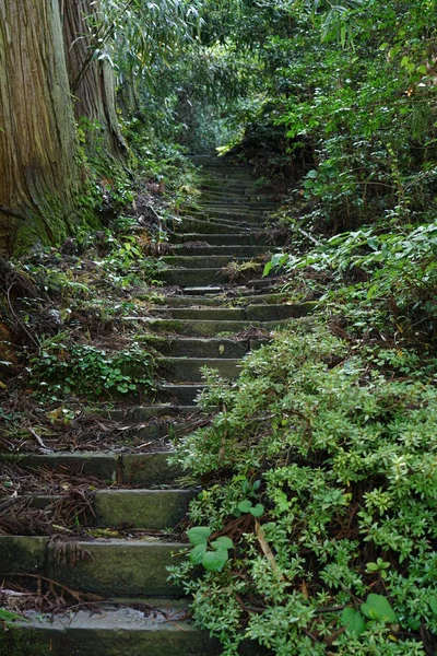 Niigata Japan October 2019 Approach Seisuiji Temple Sado Island Autumn — Stock Photo, Image