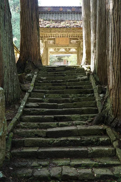 Niigata Japan October 2019 Approach Seisuiji Temple Sado Island Autumn — Stock Photo, Image