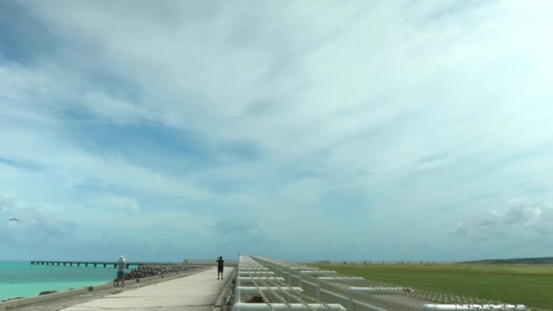 2020年6月22日 小豆島の島司島空港着の航空機 — ストック動画