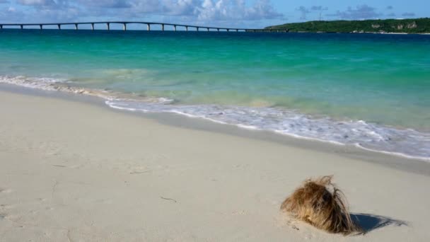 Okinawa Japón Julio 2020 Playa Yonahamaehama Isla Miyako Okinawa Japón — Vídeo de stock