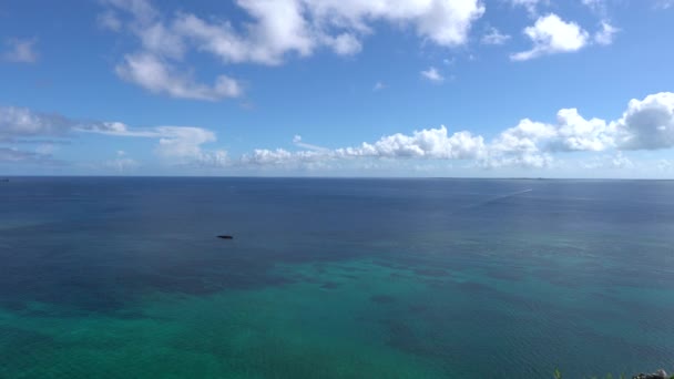 Okinawa Japonsko Července 2020 Pohled Iguana Rock Ostrově Irabu Okinawa — Stock video