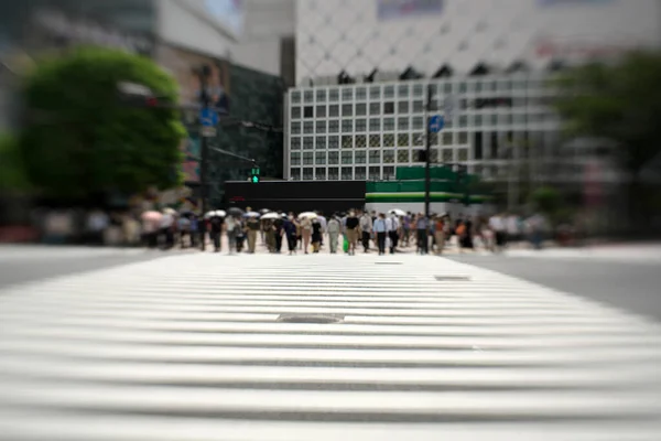 Tokio Japonia Września 2020 Słynne Przeprawy Przez Shibuya Tokio Japonia — Zdjęcie stockowe