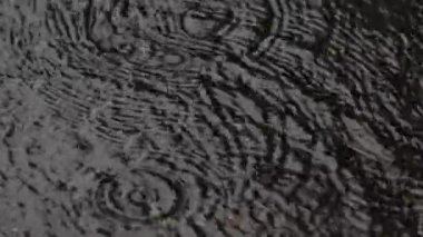 Tokyo, Japonya - 5 Eylül 2025: Şiddetli yağmur bir havuza yağıyor 