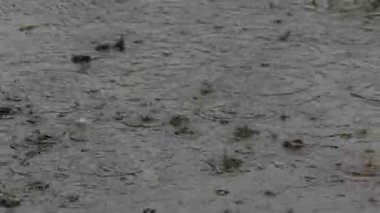 Tokyo, Japonya - 5 Eylül 2025: Şiddetli yağmur bir havuza yağıyor 