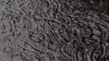 Tokyo, Japonya - 5 Eylül 2025: Şiddetli yağmur bir havuza yağıyor 