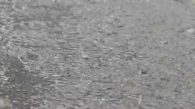 Tokyo, Japonya - 11 Eylül 2025: Sokaktaki bir havuza sağanak yağmur yağıyor