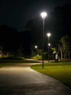 Tokyo, Japonya - 16 Eylül 2025: Geceleri bir parkta üç bank