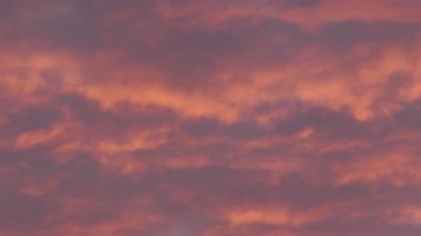 Tokyo, Japonya - 23 Eylül 2025: Sonbahar Tutulma Günü 'nde güzel bir şafak gökyüzü