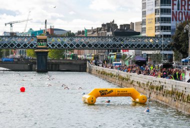 2025 Liffey Yüzüşü sırasında Dublin, İrlanda 'da 2025-09-13 yüzen yüzücüler bitiş çizgisine vardılar..