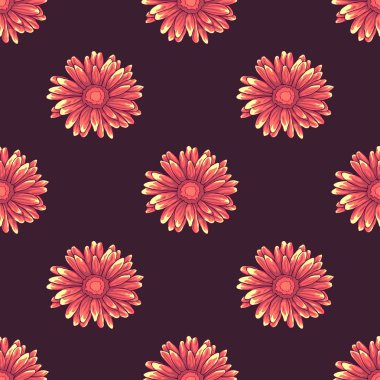 Pembe ve turuncu papatya çiçekler koyu mor zemin üzerine ile Seamless modeli