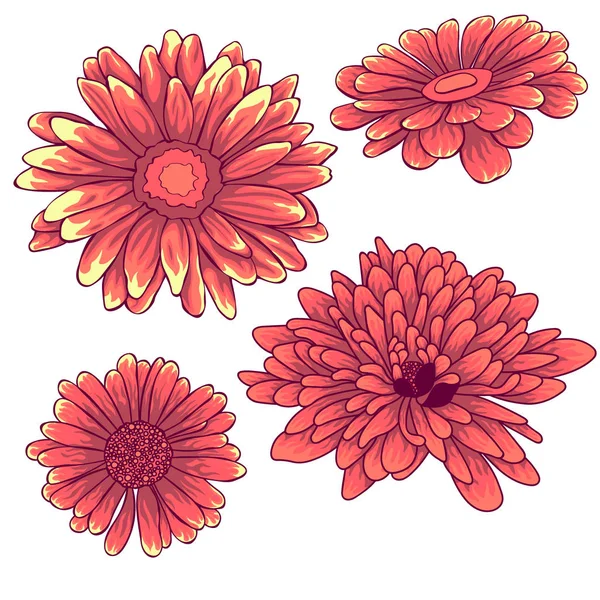 Fleurs isolées. Fleurs colorées et doublées — Image vectorielle