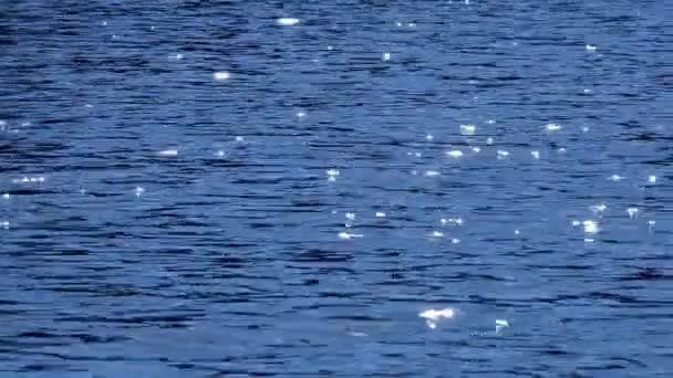 Ηλιακή Αντηλιά Στο Νερό Παγερά Defocused Shot Νερό Κυματιστή Επιφάνεια — Αρχείο Βίντεο