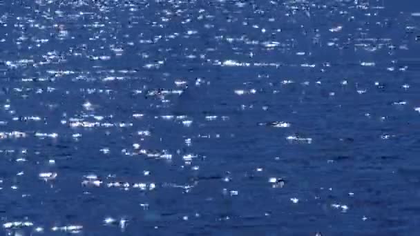 水上的太阳眩光 弥散拍摄的波浪状水面与美丽的散景太阳瞪 — 图库视频影像