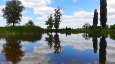4k kamera sessiz bir göl sahil şeridi üzerinde uçuş. Gölet üzerinde helikopter pürüzsüz bir Asansör.