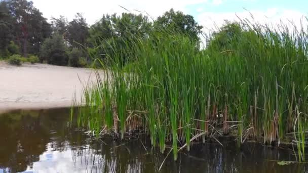 Letu Kamery Pobřeží Klidné Jezero Plynulý Zdvih Vrtulník Přes Rybník — Stock video