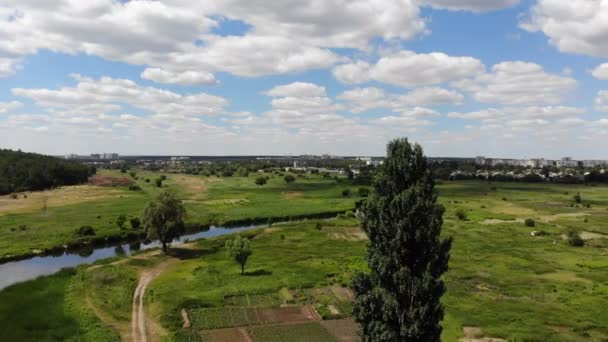 美しい川を空気からの眺め 緑の牧草地と美しい川上の飛行 — ストック動画