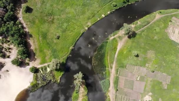 美しい川を空気からの眺め 緑の牧草地と美しい川上の飛行 — ストック動画
