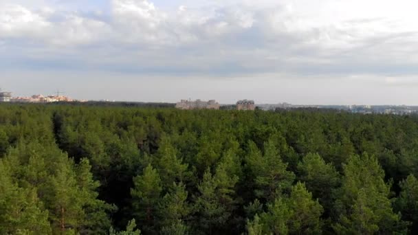 Costruire Una Città Nella Foresta Indagine Aerea Sulla Costruzione Complesso — Video Stock