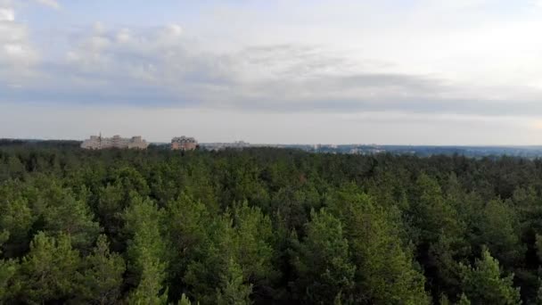 森林风景从上面 摄像机飞越松树林的飞行 沿着森林茂密的森林 缓慢地移动摄像机 — 图库视频影像