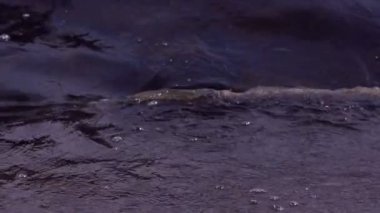 Yavaş dalgaların kıyıya doğru acele havadan ağır çekim shot denizde dalga hareketi. Hamle beyaz deniz doku oluşturdukları dalgalar gibi köpük.