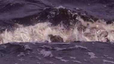 Yavaş dalgaların kıyıya doğru acele havadan ağır çekim shot denizde dalga hareketi. Hamle beyaz deniz doku oluşturdukları dalgalar gibi köpük.