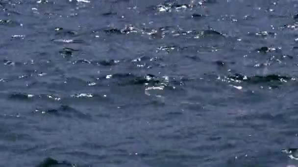 Yavaş Dalgaların Kıyıya Doğru Acele Havadan Ağır Çekim Shot Denizde — Stok video