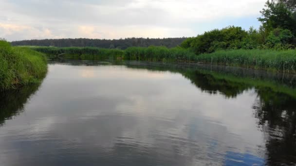 Luftaufnahme Des Flusses Bewegung Entlang Der Kurven Und Der Wasseroberfläche — Stockvideo