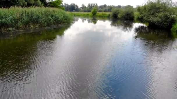 Luchtfoto Van Rivier Beweging Langs Bochten Wateroppervlak Reflectie Van Zon — Stockvideo