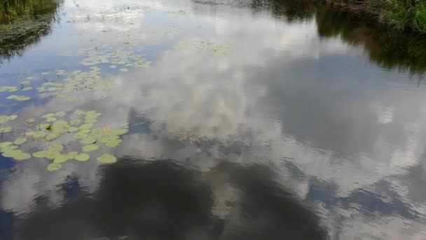 川の曲がり 水面と太陽と川の鏡面の空の反射運動の航空写真 — ストック動画