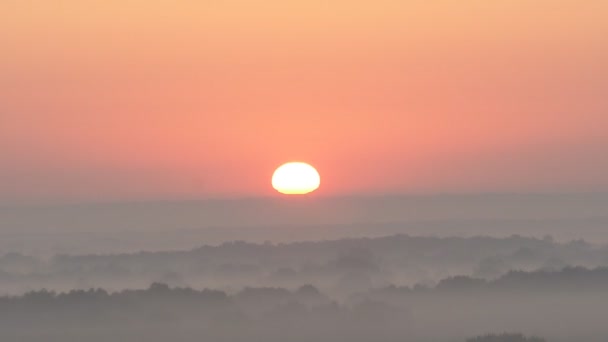空中展望 霧の中で飛んで 霧の中で飛ぶ 空中カメラ撮影 太陽の方へ雲の上の飛行 霧の多い天気 上からの眺め 鳥の視点 — ストック動画