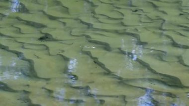 Temiz su dağ nehir taşları üzerinde hızlı bir şekilde akan nehir su akışı içinde. Temiz su Creek